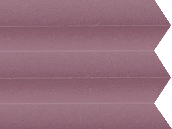 BO 11243 Fuchsia